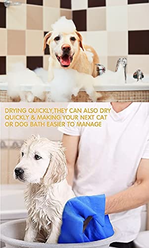 Image of Hachiko:-5 IN 1 Dog Shampoo+Flea & Tick Dog Shampoo| Ditch to Itch 500ml | Dog Shampoo for Labrador, German Shepherd, Golden Retriever, Anti Dandruff, Pet Shampoo for Dogs, Paraben Free, Ticks and Fleas Remover for Dogs(Combo of 2)