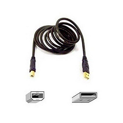 Belkin F3U133-10-GLD 10ft USB 2.0 A/b Device - 10ft