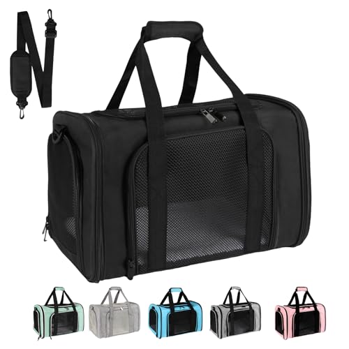 Pet Carrier Near Me The 15 best products compared Wild Explained