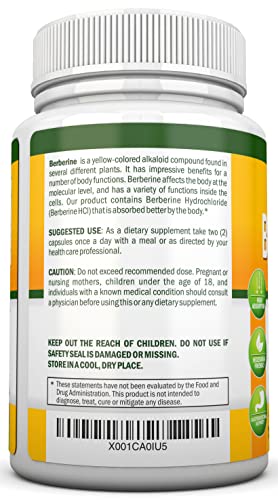 Berberine - 1200Mg Per Serving - 90 Vegetarian Capsules - Pure Berberine Hcl Extract Supplement - Superior Potency To Support Immune Health #TOP2