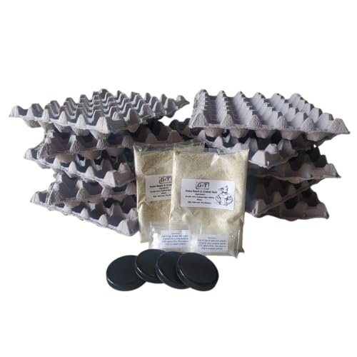 Gt Country Living Dubia Roach Tub Kit - Feeder Insect