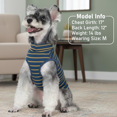 KYEESE 2Pack Dog Sweater Pullover Pet Sweatshirt Stretchy Dogs Clothes Soft Pets Clothes Warm Doggie Coats Turtleneck Small Pets Sweaters Dog Sweaters for Small Dogs Male - Image 7