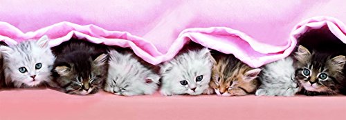 Dino Toys 393257 - Puzzle de Gatito bajo la Manta (Juguete panorámico)