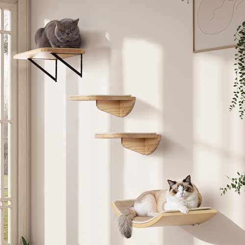 Estantes para gatos con alfombrilla para rascar, juego de muebles de pared para gatos con 2 escalones, 1 plataforma cuadrada y 1 plataforma curva, juego de marco de madera para escalar gatos para