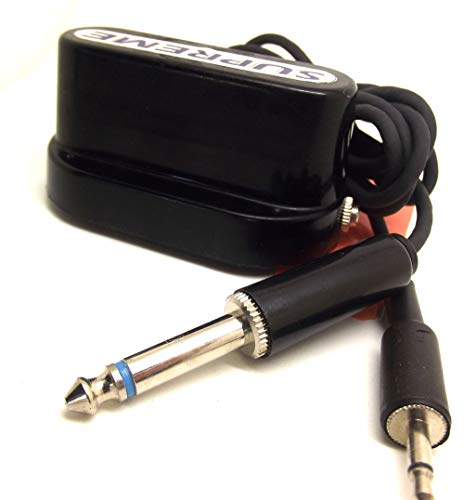 Ultra-Special Quality Full Jackwood Carnatic Saraswati Veena W Electric Pick Up. Beautiful Dark Finish. W Training Dvd #TOP2