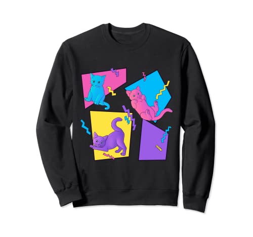 Chatons rétro avec des couleurs et des formes Sweatshirt