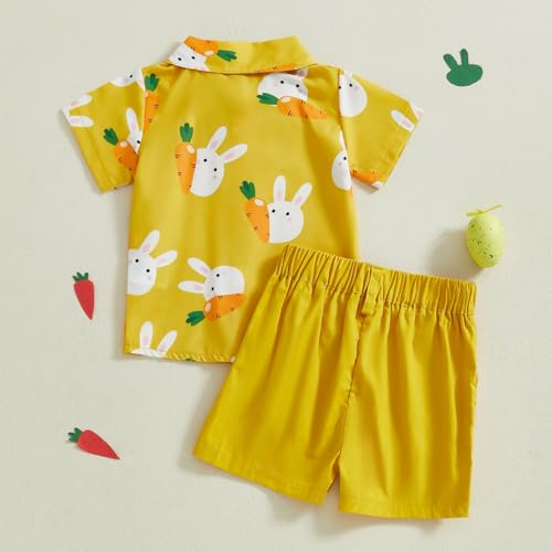 Image of Toddler Boy Summer Outfits Button Down Short Sleeve Floral Shirts & Casual Shorts 1-6 Years Boys Clothes Set