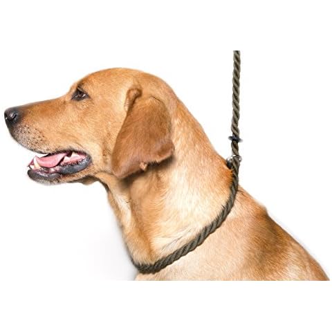 Dog & Field Deluxe Gundog Slip Lead (Olive Green) Soft 8mm Spliced Marine Rope with Rubber Stopper - One Size Fits All and Suitable For All Breeds of Dog with 2 Colour Options (Olive Green) Cover