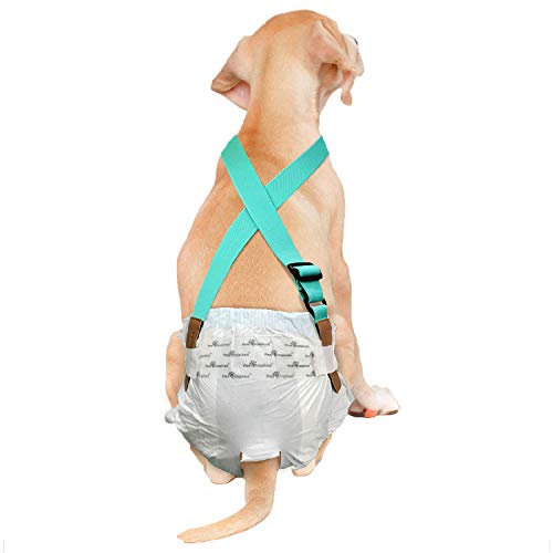 Image of Paw Inspired Dog Diaper Suspenders with Velcro Fasteners | Stretchy Adjustable Suspenders for Female and Male Disposable and Washable Diapers | Fits Small, Medium and Large Size Pets (M /L, Aqua)
