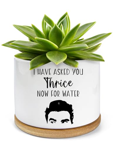 PWHINGN I Have Asked You Thrice Now for Water Ceramic Succulent Planter Pot, Funny Plants Pots Schitts Merchandise Gifts, for Women Mom Grandma Plant Lovers Gifts - 3.5 inch(Plant Not Included)