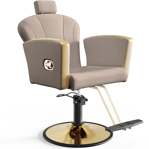 Anunweldo Professioneller Friseurstuhl mit 360° Drehung, Höhenverstellbarer Friseurstuhl mit Kopfstütze, Friseurstühle eignen Sich für Friseurläden, Friseursalons und Schönheitssalons (Grau)