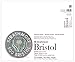 Strathmore (580-82 500 Series Bristol, 2-Ply Vellum Surface, 14