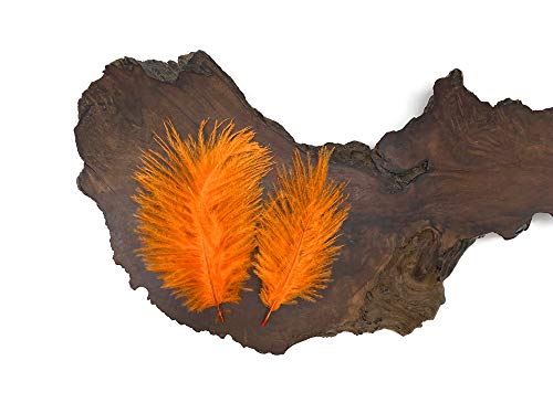 Moonlight Feathers | 1 Pack - Mini Orange Ostrich Small Confetti Feathers 0.3 Ounces #TOP2
