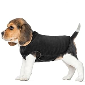 FUAMEY Dog Fleece Vest,Warm Sweatshirt Puppy Stretchy Sweater Pullover Dog Turtleneck Coat Dog Winter Jacket with Leash Hole, Dachshund Sweaters Yorkie Clothes for Small Medium Large Dogs Black XXS