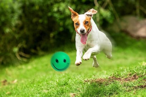 Happet Smiley Ball 57 mm Dunkelgrün - Großer Schaumstoff-Hundeball, weich und sicher, leichtes Apportierspielzeug, mit Smiley-Motiv, gut sichtbar und federnd, perfekt für mittelgroße Hunde