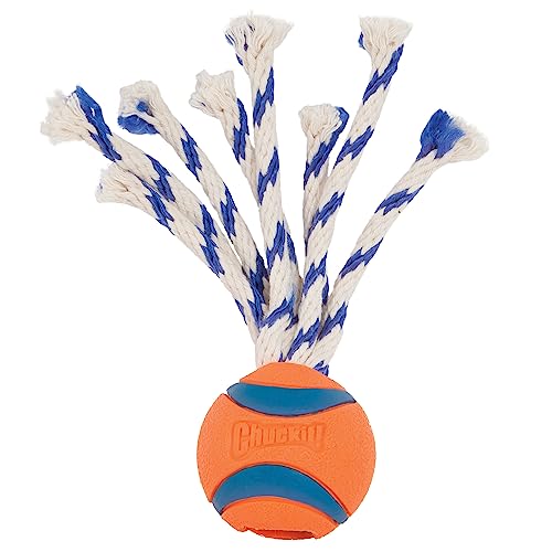 Image of Chuckit! Ultra Toss Dog Toy, Medium Indoor and Outdoor Dog Toy for Dogs 20-60 Pounds