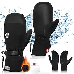 Set of Mittens+Liners