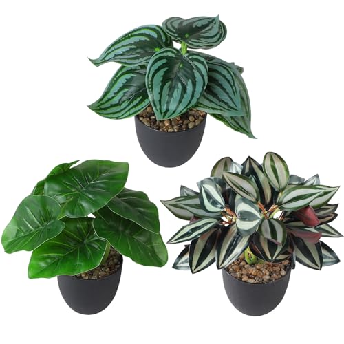 MIGUBIGU Pack of 3 Artificial Tropical Plants 24 x 20 cm, Artificial Plants Like Real in a Pot, Plastic Plants, Bathroom Decorative Plants, Artificial Fake Plants for Living Room, Room, Balcony