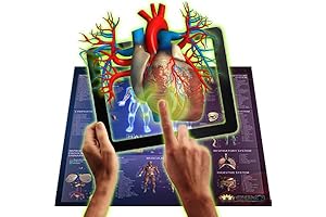 Flipo Smart Chart: The Ultimate Interactive Medical Anatomy Guide