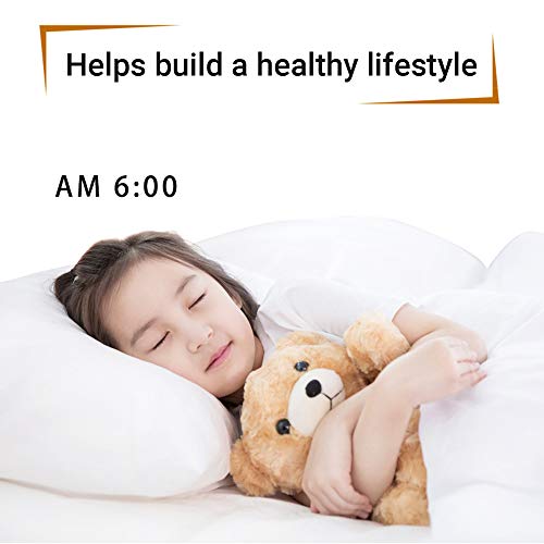 Moochy Temperatura interna e externa Umidade Relógio digital multifuncional e termo-higrômetro Termô