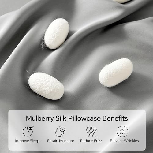 Chixpace Mulberry Silk Pillow Case - Pillowcase For Hair And Skin thumb #1