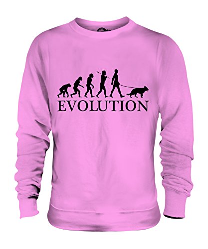 Sweat Berger Allemand Évolution parfait pour les balades canines en forêt