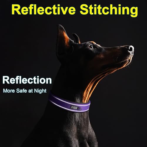 Fida Heavy Duty Dog Collar, Ultra Comfortable Soft Neoprene Padded, Adjustable Reflective Nylon Pet Collar with Durable Metal Belt Buckle for Medium Breeds (M, Purple) by Fida - Image 6