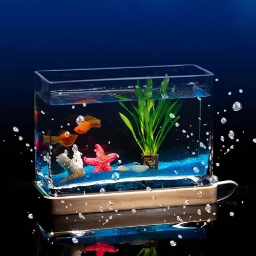 Acuario de cristal rectangular con diseño creativo y formato mini portátil 4