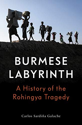 The Burmese Labyrinth view 2