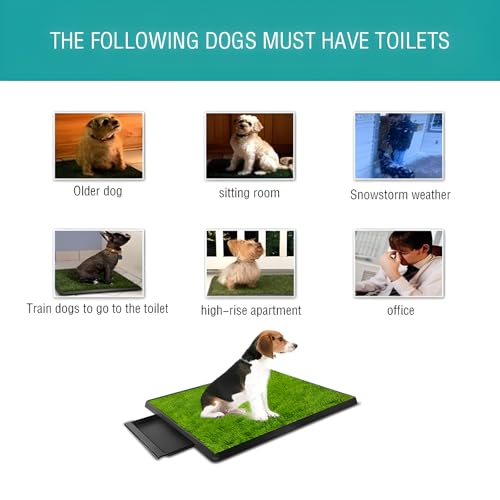 Image of Dog Urinal containing 2 Replaceable lawns, Dog Potty Grass .Portable pet bedpans that can be Washed， Suitable for Almost All Types of Dogs. Length: 25 inches. Width 20 inches. Height: 3 inches