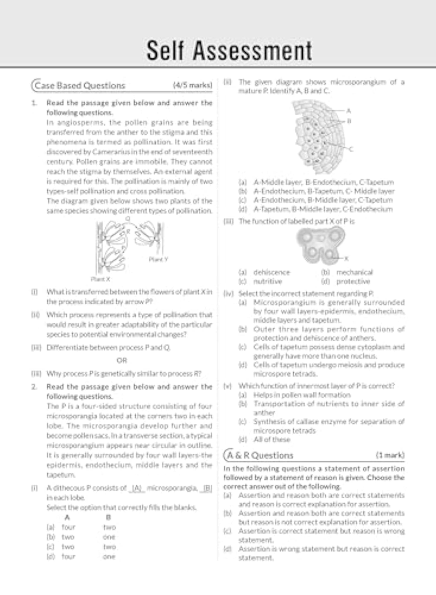 MTG CBSE Class 12 Biology Chapterwise Topicwise Solved Papers