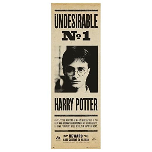 Grupo Erik Editores Poster Puerta Harry Potter Undesirable Nº1