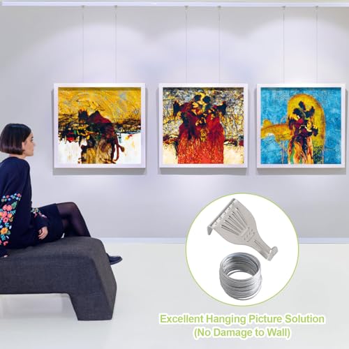 Image of Picture Hanging Kit 13Pcs Picture Rail Hooks with 3 Rolls 3M Picture Wires Silver Picture Rail Hanging Hooks Picture Display Hanging System Accessories for Wall Picture, Exhibition