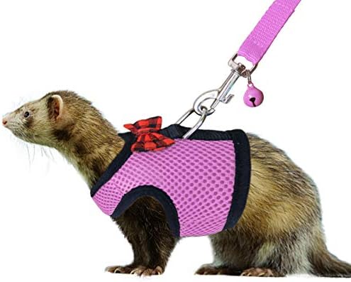 Rypet Small Animal Harness and Leash – Soft Mesh Small Pet Harness with Safe Bell, No Pull Comfort Padded Vest for Small Pet Pink S
