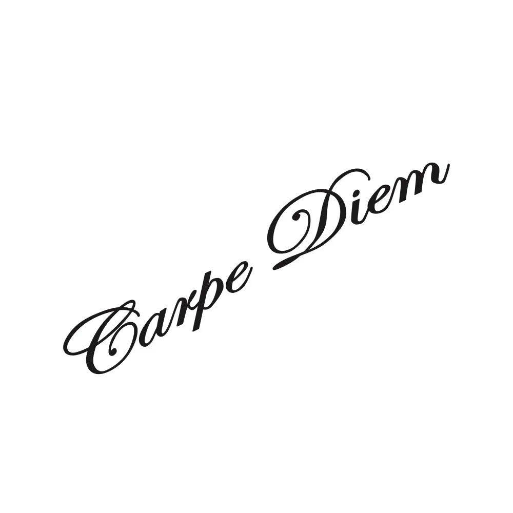 Car Vehicle Front Windshield Sticker Vinyl Decals(Matt Black)