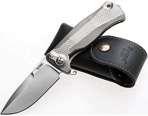 Lion Steel SR11 Framelock Titanium Gray LSTSR11G