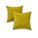 Greendale Home Fashions 17 in. Outdoor Accent Pillow (set of 2), Kiwi