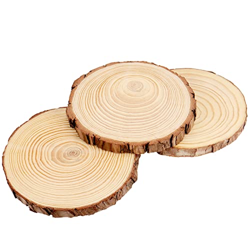 Mukchap 6 Pcs 8-10 Inch Natural Pine Wood Slices, 0.8 Inch Thick Unfinished Wood Slices For Festival Ornaments, Wedding Decoration, Diy Craft Project #TOP5