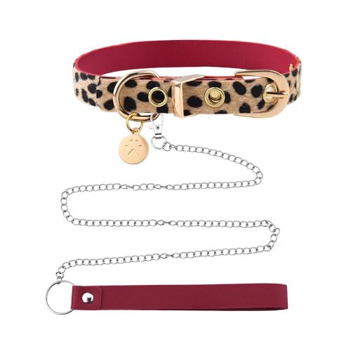 Leopard & Paw Print Collar & Leash Set for Adults