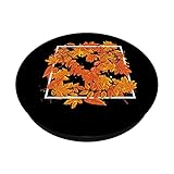 Zoom IMG-1 botanico foglie autunnali natura foresta Zoom IMG-1 botanico foglie autunnali natura foresta