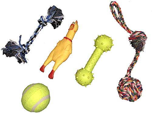 Nz 5PCS Puppy Teething Toys Pet Dog Knot Toys Puppy Dog Cat Rope Type Dumbbell Toys Dogs Chew Toys