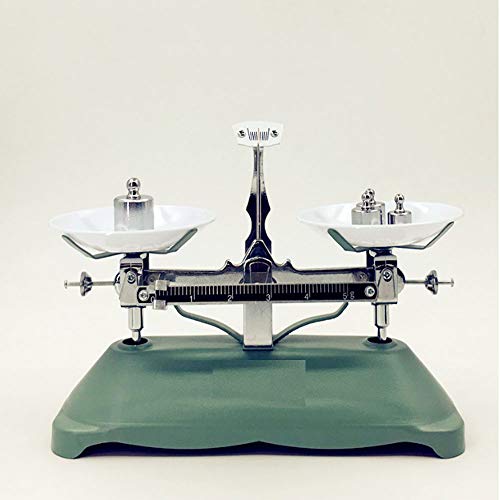 weigh scales calibration weightgram calibration weightscale balance calibration weightfor digital scale balance 500g