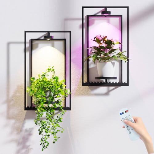 Starxing Pflanzenständer Pflanzenhalter Wand 2 Set Wandregal für Pflanzen mit Metallrahmen und Fernbedienung Bilderrahmendeko Blumentopf Wandhalterung mit Wachstumslicht für Wohnzimmer (2 Groß)