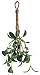 Artificial Hanging Green Silk Mistletoe with White Berries with Attached Jute Hanger