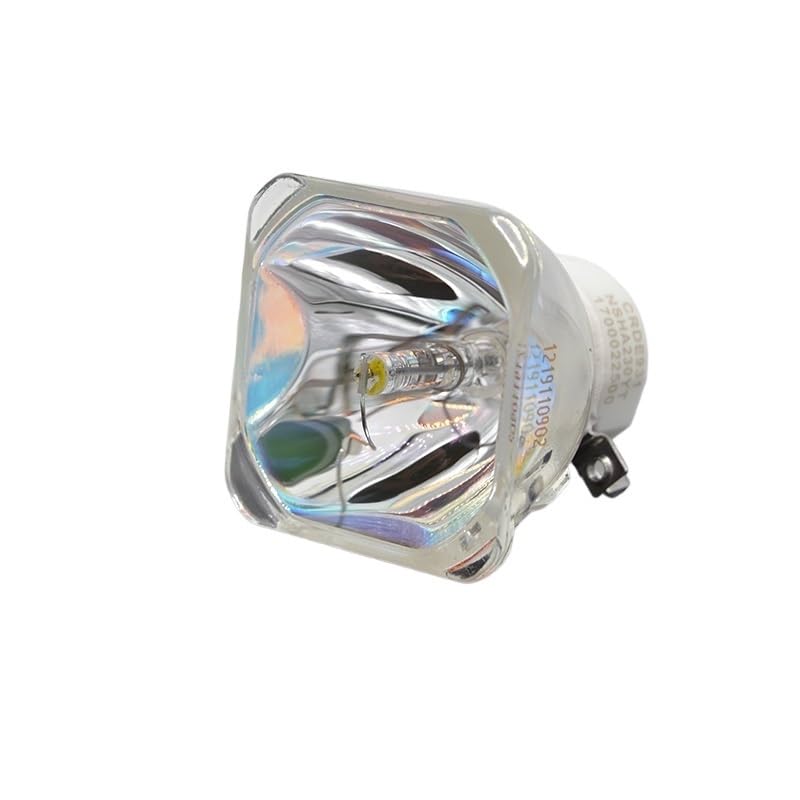 Ampoule projecteur NP16LP pour des cours clairs sur écran M300W