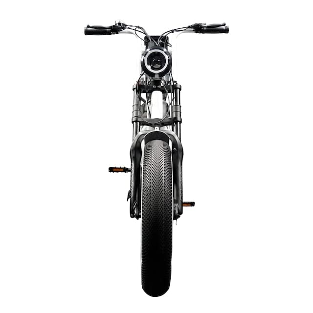 ZEFILL EZ-Rider01 E-BIKE ファットバイク 電動自転車 ZEFILL EZ-Rider01 E-BIKE ファットバイク 電動自転車