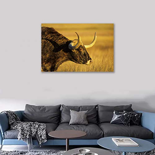 Affiche Vache des Highlands Toile pour Habiller un Mur Vide