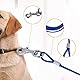 5m Hund Tie-Out Leinen，Kettenleinen für Hunde，für Outdoor Yard und Camping Puppy Pet und Medium Dogs（blau）.