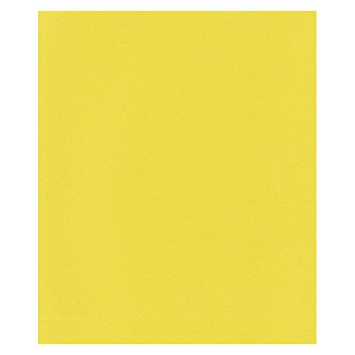 エスケント ケント紙 スターカラー 四切 サンフラワー 100枚 5747004