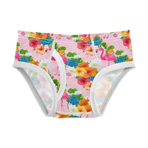 Pink Flamingos Flowers Toddler Boy's Underwear 2T 202c1841